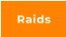 Raids