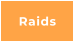 Raids